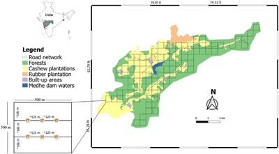 Mammals Make Use of Cashew Plantations in a Mixed Forest–Cashew Landscape